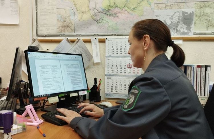 Пломбир в вафлях возглавил экспорт вологодского мороженого в 2025 году