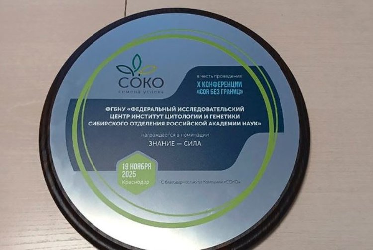 ИЦиГ удостоили награды за сотрудничество с индустриальным партнёром по селекции сои - фото