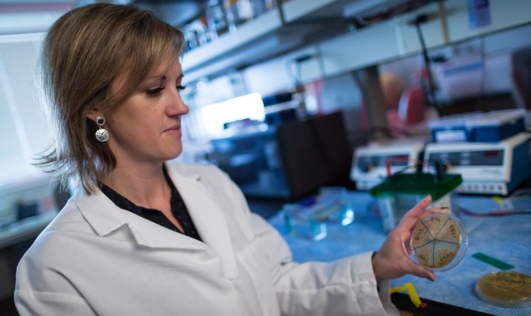 Одна из 100 кишечных бактерий препятствует ожирению и снижает уровень сахара в крови