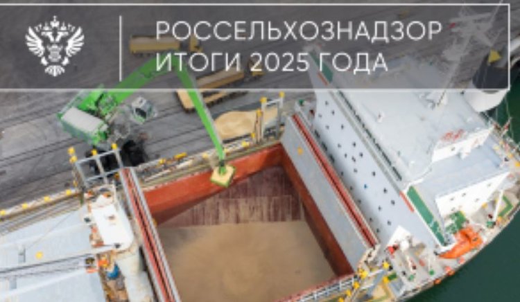 Итогами зернового экспорта России 2025 поделился Россельхознадзор