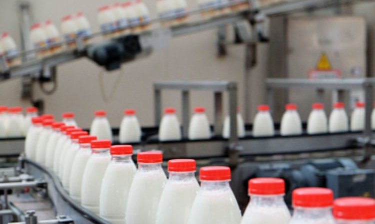 Пищевая промышленность России демонстрирует рост по всем основным видам продуктов питания