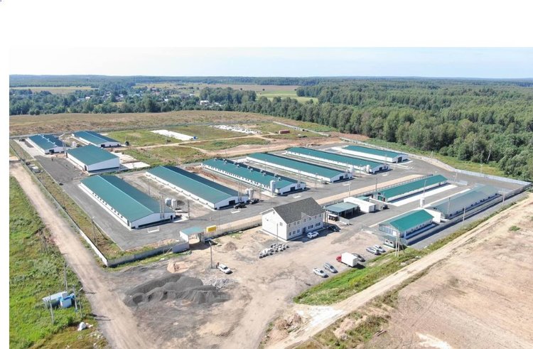 Московская область — один из наиболее привлекательных регионов для агроинвестиций