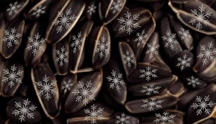 Рязанские аграрии продолжали уборочную и под Новый 2026 год - фото