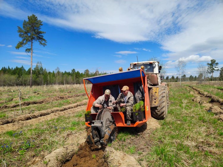 В 2026 году в Башкортостане построят крупный тепличный комплекс для производства саженцев лесных культур