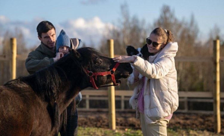 С 2026 года поддержка сельского туризма - часть нового федпроекта «Развитие малого агробизнеса»