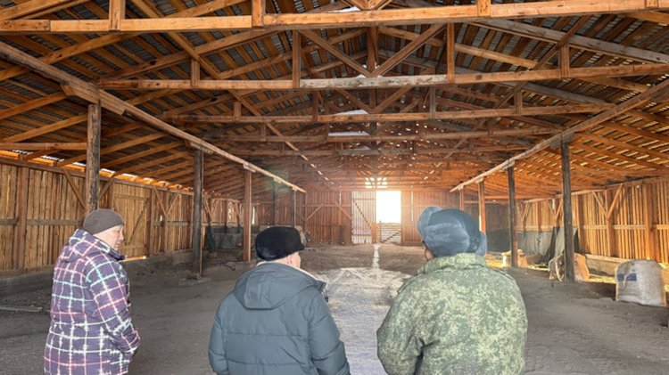 Фермеры инвестируют в будущее урожая Тывы: в Тарлаге строится новое зернохранилище - фото