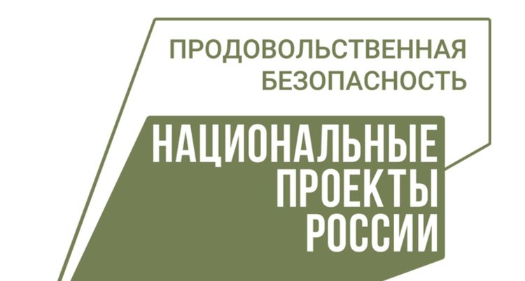 В Калужской области на всероссийских соревнованиях операторы агродронов показывают мастерство 