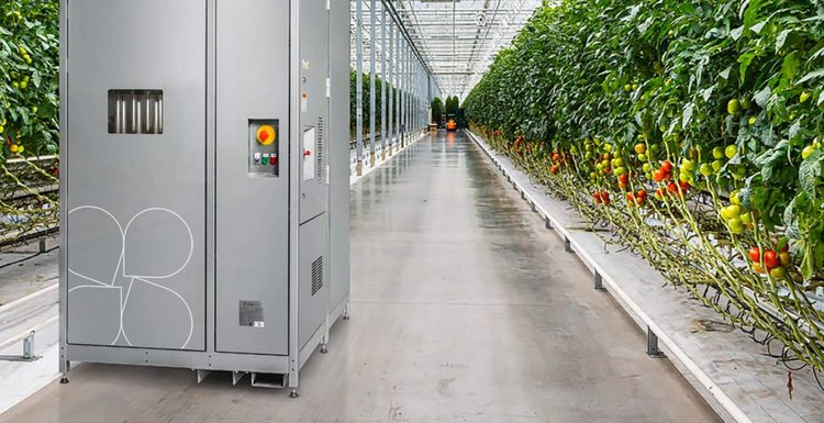 Плазменно-активированная вода против мучнистой росы получила международное признание