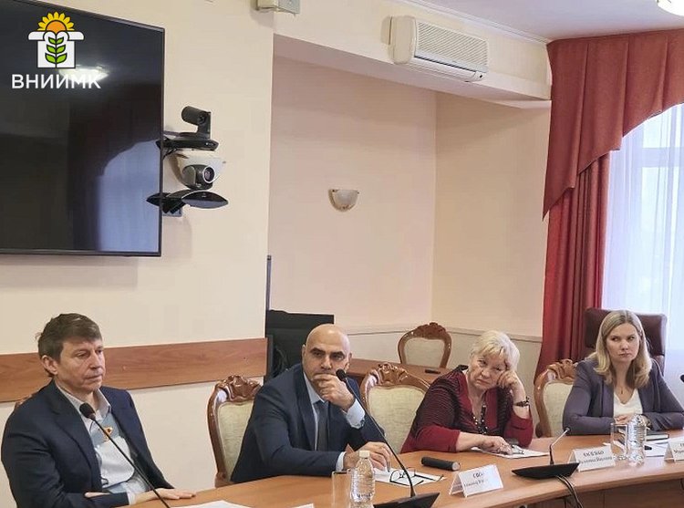 Почему ВНИИМК рекомендовал заменить подсолнечник в северных зонах Кубани на рапс и лен: объясняет эксперт - фото