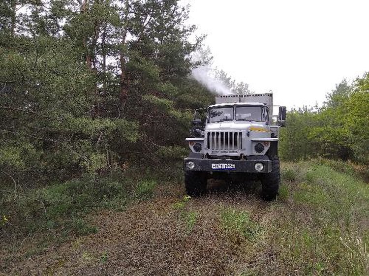 Леса Волгоградской области обработают от вредителей с земли и с воздуха