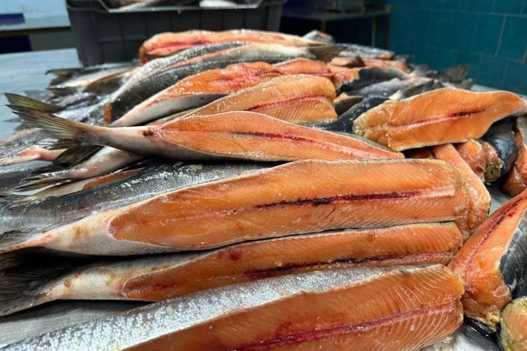 Больше рыбы поставлять в Китай планирует Иркутская область