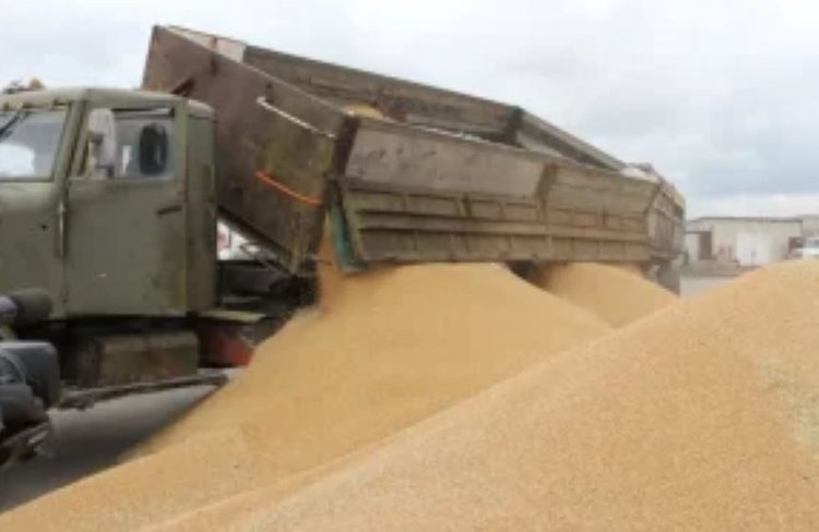 Крупную партию проса отправили из Ингушетии в Ирак