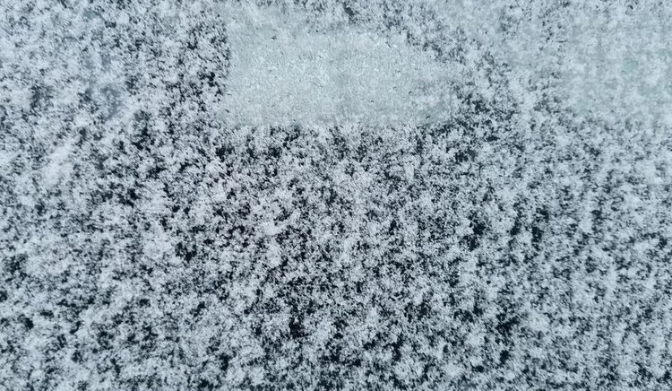 Какие семена нужно не забыть отправить на стратификацию - фото