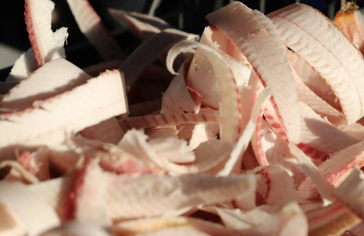 Чокурдахский чир — деликатес, ставший гастрономической визитной карточкой Якутии на федеральной арене - фото