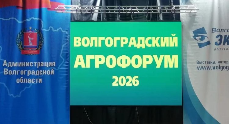 Качество пшеницы и переход на отечественные семена обсуждались на «Волгоградском Агрофоруме-2026» - фото