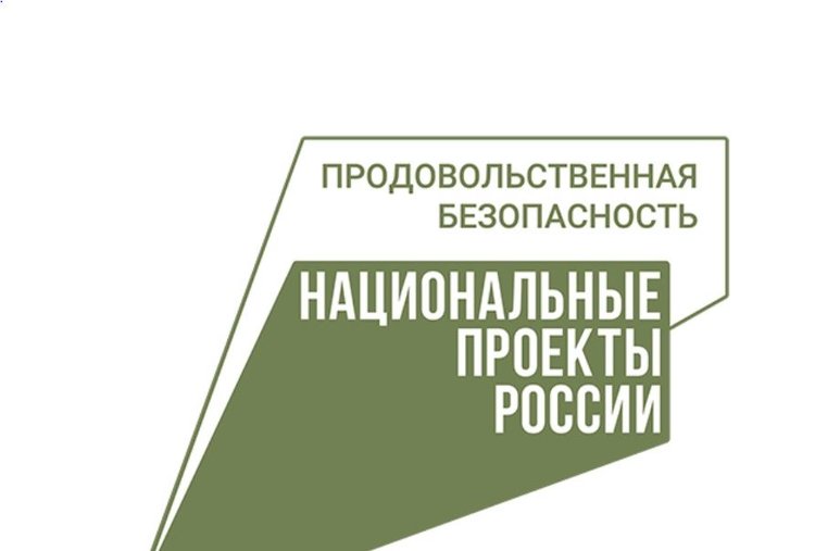 Итоги первого года нацпроекта «Кадры в АПК» в Рязанской области: 11 агротехнических классов - фото
