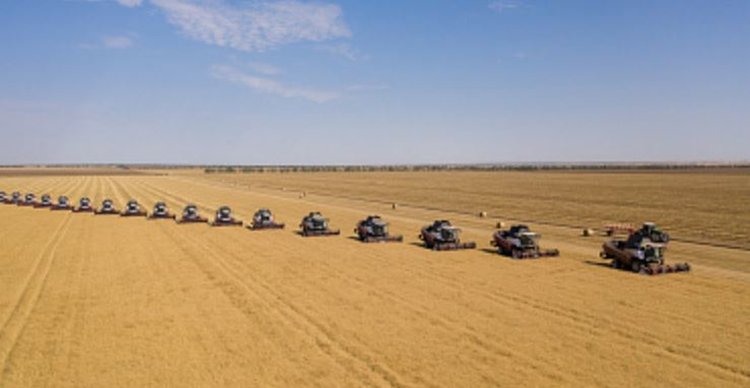 Для аграриев Донбасса и Новороссии в 2026 году господдержка вырастет на четверть