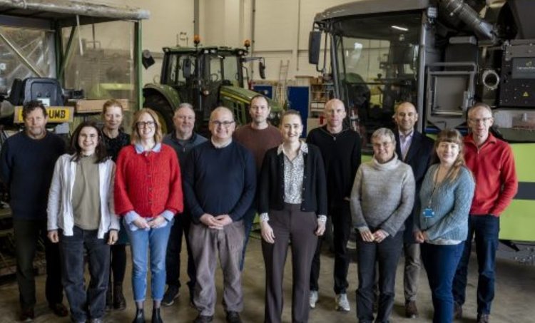 Желтая ржавчина пшеницы грозит уничтожить британские поля: запущен проект быстрого реагирования