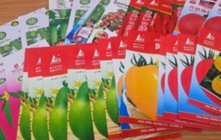 Китайские семена неизвестного происхождения пытались 3 раза привезти в Приамурье с начала года