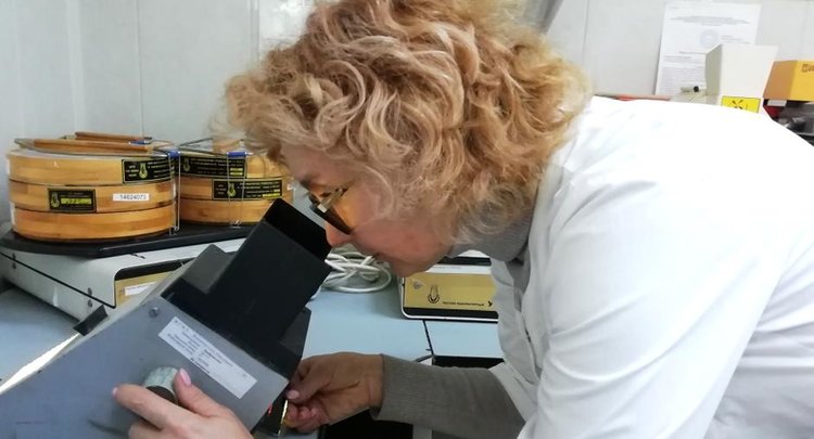 Волгоградский филиал ЦОК АПК подтвердил качество пшеницы для отгрузок в Азербайджан