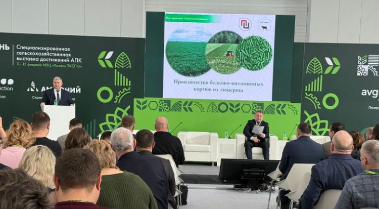 Рацион КРС становится важнейшим фактором рентабельности фермы - фото