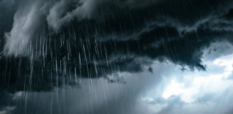 Самолет для вызова осадков прилетит поддержать всходы озимых Ставрополья весной 2026