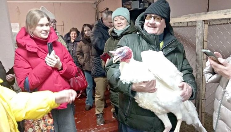 Сельское гостеприимство Челябинской области демонстрируют туроператорам: сыры, мёд, индюки и пингвины