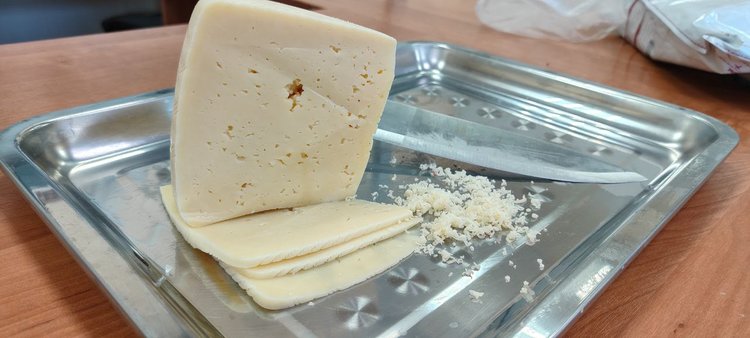 Сыр оказался пропитан пенициллином - фото