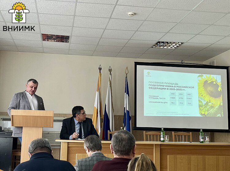 Самые популярные сорта и гибриды масличных ВНИИМК на Ставрополье по итогам 2025 