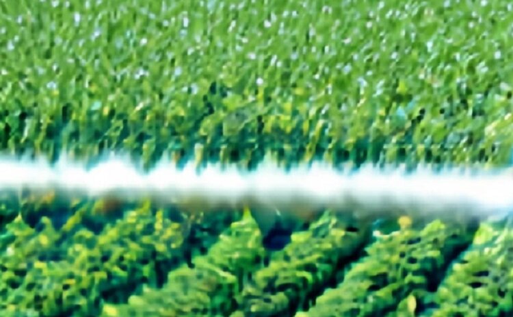 О наращивании производства глифосата в США издал указ Дональд Трамп