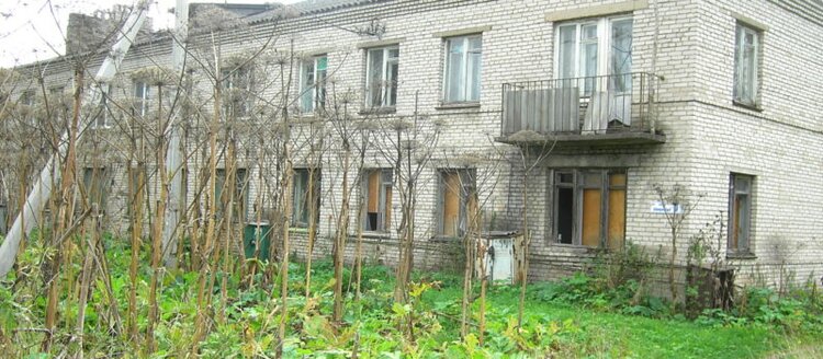 Агрохимическая прополка борщевика Сосновского в Ленобласти охватит более 6 500 га