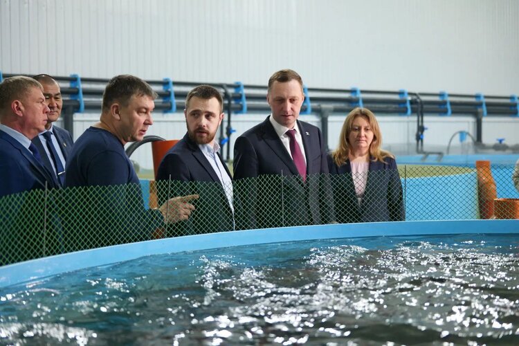 Форелевое хозяйство «Салмон» добавляет к выращиванию рыбы переработку