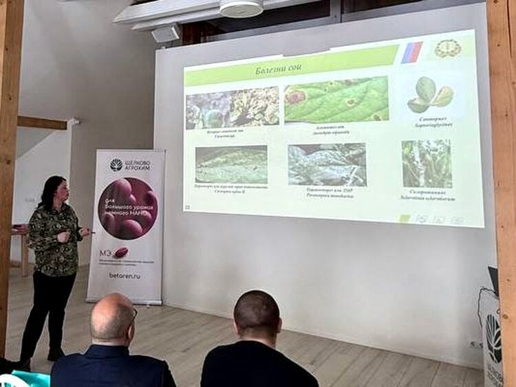 В Калининградской области пул вредителей и болезней на полях в сезоне 2026 остается привычным - фото