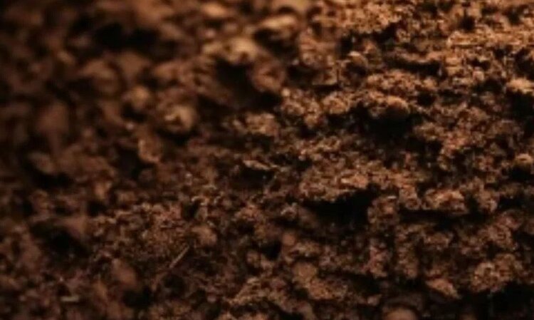 Почвенные бактерии используют закись азота в качестве инструмента конкуренции - фото