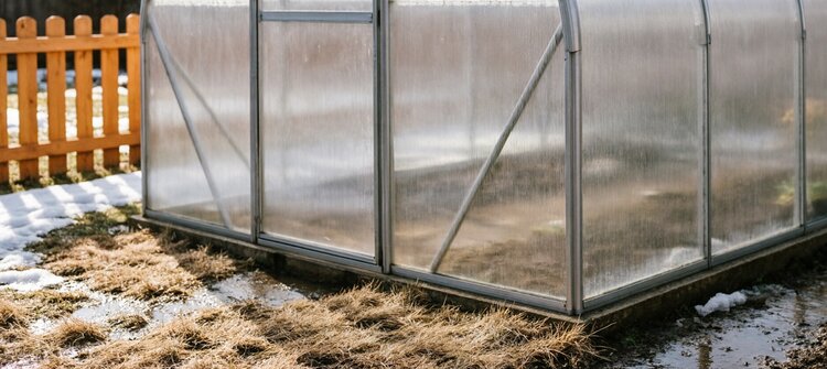 Чем обработать теплицу после зимы и маловодная уборка в марте: полный гид - фото