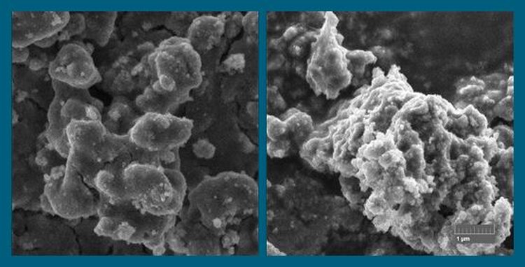 Ученые разработали эффективные фотокатализаторы на основе овечьей шерсти как биотемплейта - фото