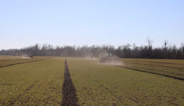 Озимые Запорожья получают качественную азотную подкормку в полном объеме
