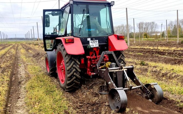 Важнейший инструмент для хмелеводства разработали и запатентовали в Чувашском ГАУ  - фото