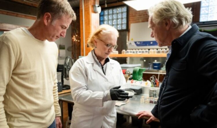 Селекция с ИИ привлекает крупные инвестиции - фото