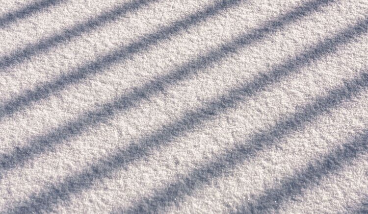 На полях с озимыми в Подмосковье быстро сходит снег: контроль за посевами усилен - фото