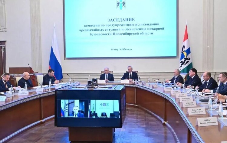 Причина изъятия скота в Новосибирской области - мутация возбудителя пастереллеза - фото