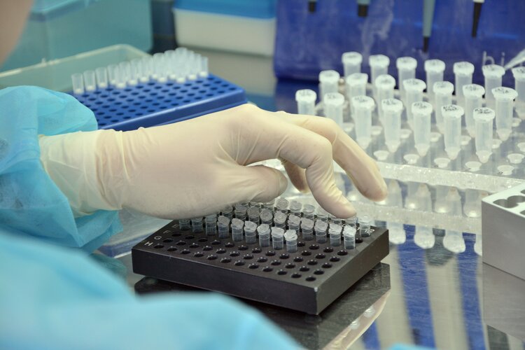 Ученые ВНИИЗЖ разработают новые методические руководства по обнаружению зоонозной лихорадки Ку