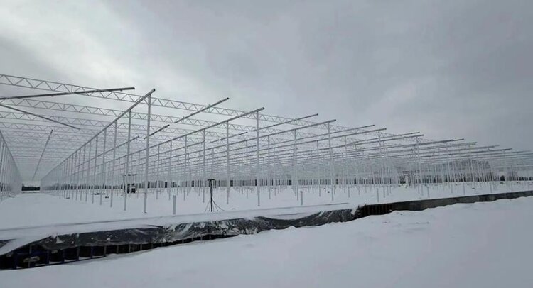 В Омской области строят тепличный комплекс с инвестициями свыше 10 млрд рублей