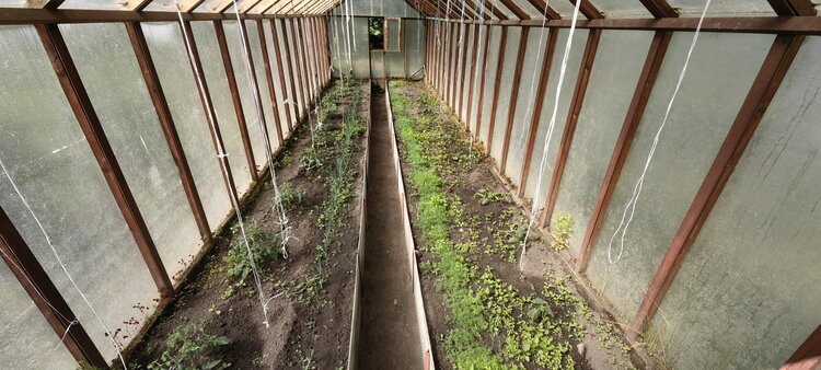 Как построить высокие грядки в теплице