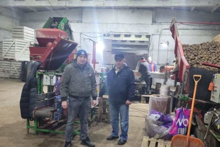 В иркутском семеноводческом хозяйстве проводят сравнительные картофельные испытания