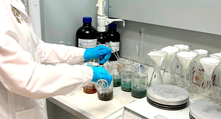 Чем опасен слишком жирный соевый шрот в кормах - фото