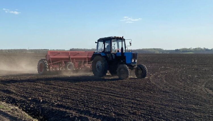 Чувашия решила сохранить площади под картофелем в сезоне 2026