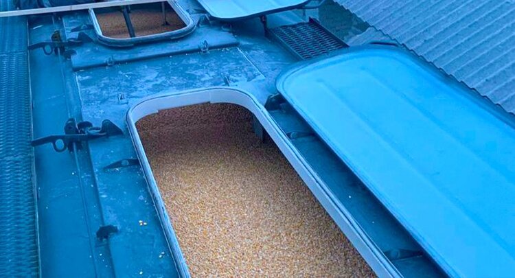 В Татарстане специалисты ЦОК АПК выполнили обеззараживание уже более 6 тысяч тонн экспортного зерна - фото