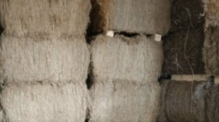 Удмуртия активизировала торговлю льняным очёсом с Китаем - фото