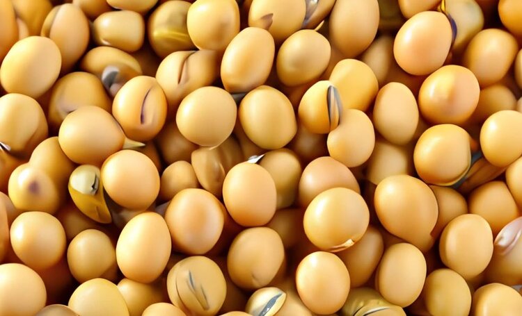 Бразилия внедряет тропические травы для развития устойчивого соеводства